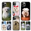 Maltese Dog Puppies Mobile Phone Cases Cover For iPhone 17 Air 16 15 14 12 13 11 Pro MAX Apple Plus Coque