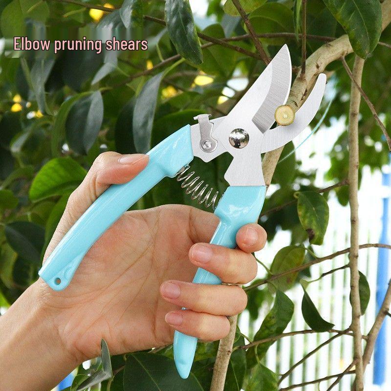 Florist's Special Pruning Shears for Flowers, Branches, Bonsai, and Fruit Picking