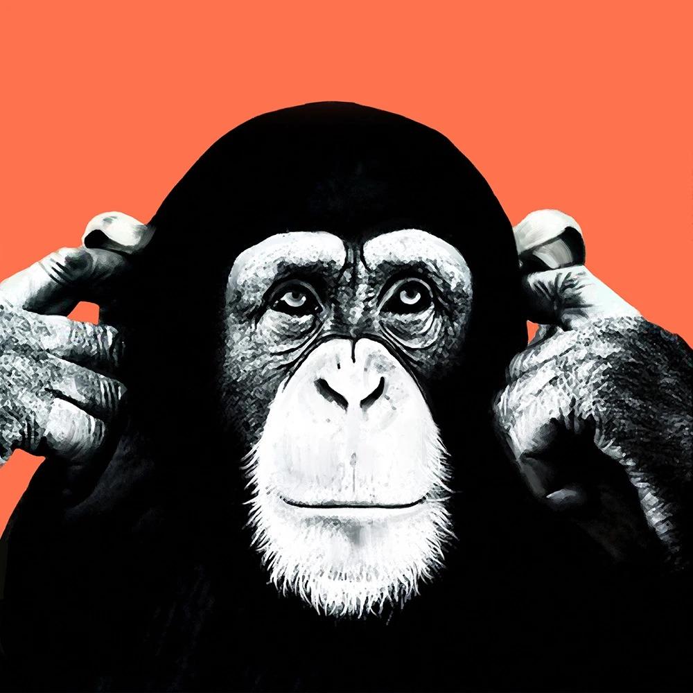 Colorful Gorilla Monkey Chimpanzee Earphones Art Canvas Wall Art Fun Animal Canvas Painting Living Room Home Decoration