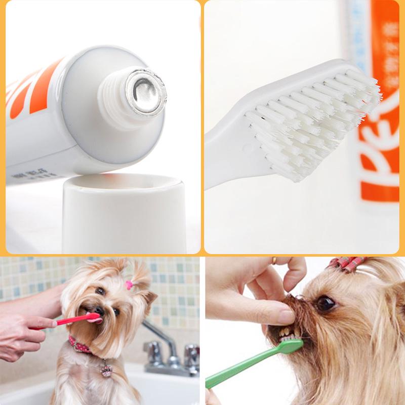 non toxic dog toothpaste