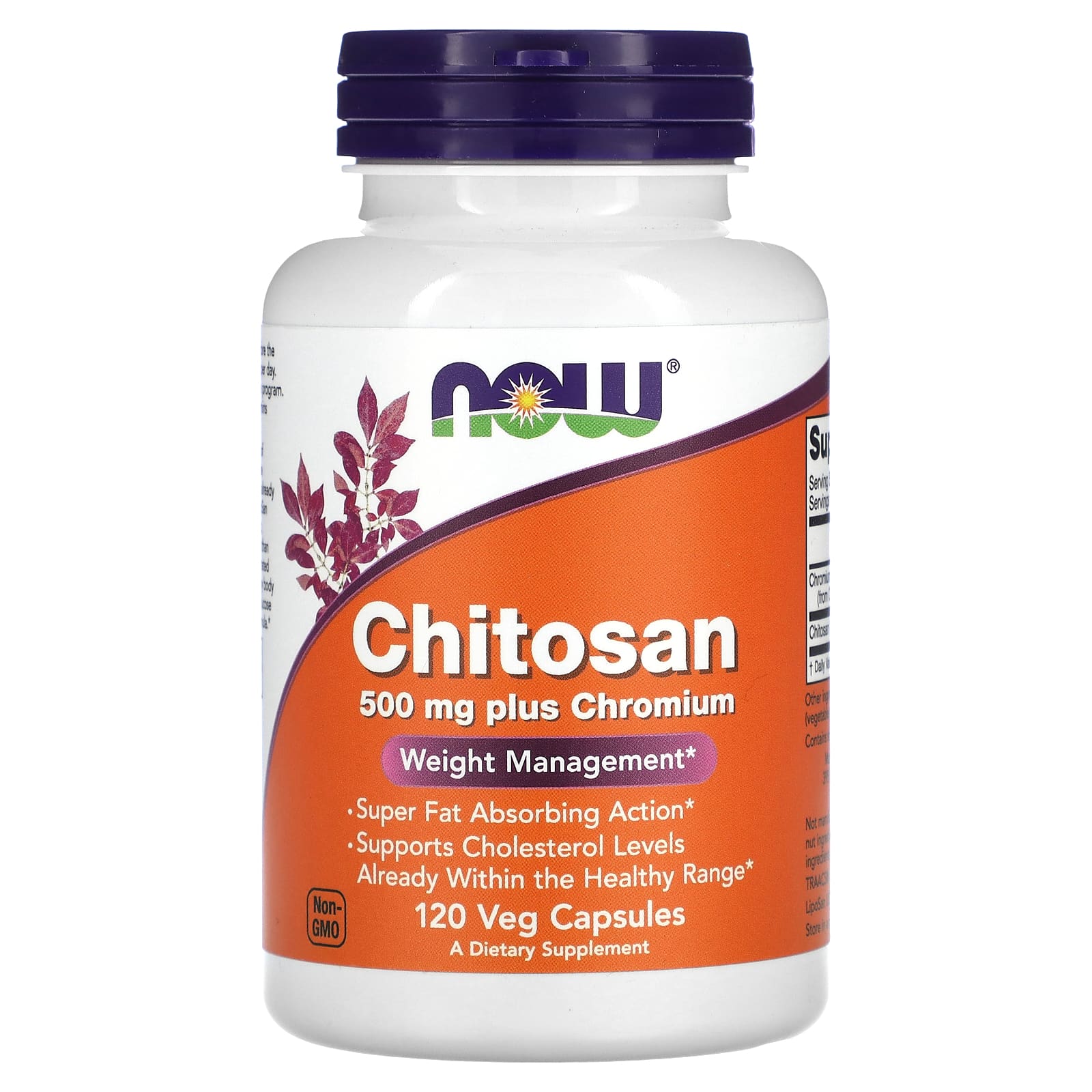 

NOW Foods, Chitosan Plus Chromium, 500 mg, 120 Veggie Capsules