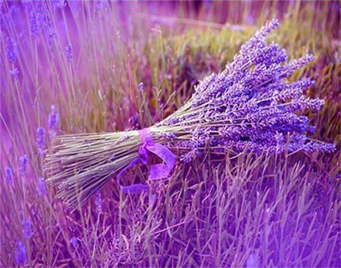RUOPOTY Painting By Number Lavender Landscape Handpainted Unique Gift Picture Coloring By Numbers Balloon Children's Room Decor