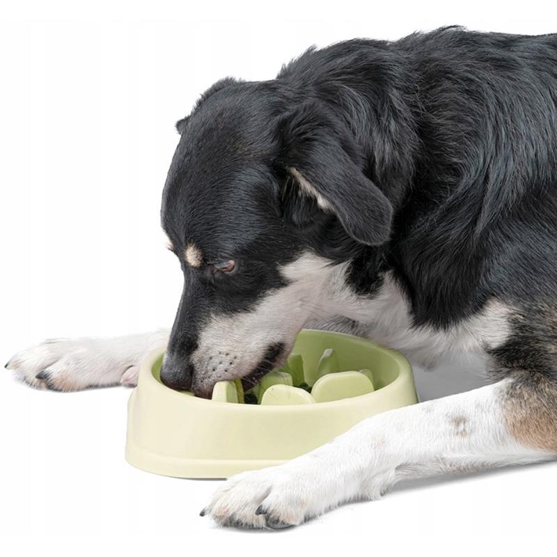 Slow Food Bowl for Dogs and Cats