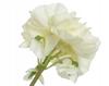 Artificial Decorative Flower In a Black Pot 35cm 1 Pc.