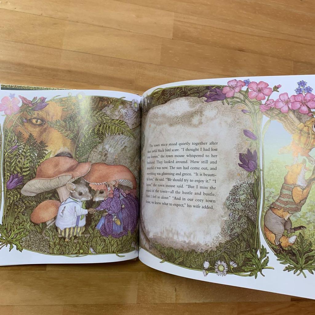 [USED] Jan Brett Town Mouse Country Mouse