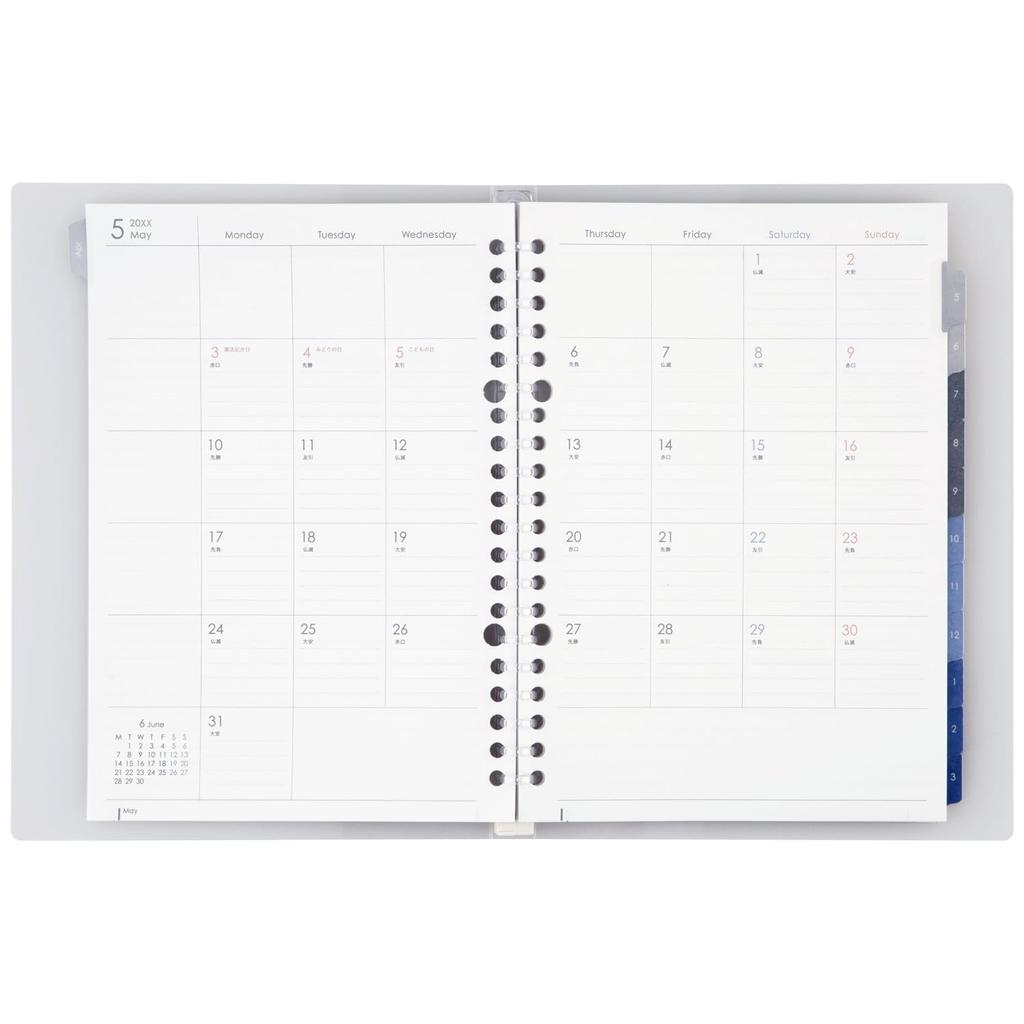 Maruman 2026 Notebook Starts April 2026 Planner, Diary, Monthly, 20-Hole, A5, Clear, FD424-26-98,