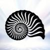 Vintage Iron Conch Shell Wall Art Outdoor Indoor Metal Sculpture For Living Room Bedroom Gift For Ocean Lover