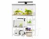 DEWEL Aquarium 79cm W X 35cm D X 75cm Aquarium Adjustable Middle Shelf Chamfered Total Weight Capacity Approximately Adjusters Included 79cm W X 35cm