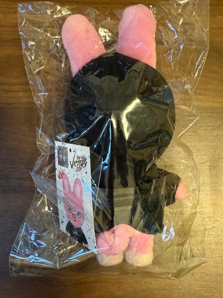 [USED] SKZOO Mini Plush Toy Toekki Changbin Straykids