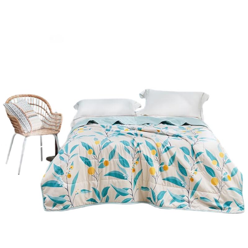 

Luolai Soft Washed Summer Quilt