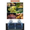 Suction Cup Reptiles Feeders, Reptiles Feeding Food Water Bowl Escape Proof Worms Dish Geckos Feeders Coloretto Bowl