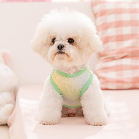 Summer Mesh Dog Vest Breathable Pet Vest Cute Dog Tee Shirt with Metal D-Ring for Small Dogs Outdoor Walks