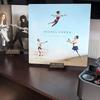 Now Playing Display Stand For LP VinylRecord Wooden Storage Rack Home Decorating And Storing Accessories Minimalist Design