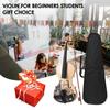 4/4 Acoustic Violin Basswood Topboard Side Back Board Maple Scroll with Carry Case Bow Rosin for
