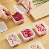 KATEI STORY Food-Grade Freezer Storage Box