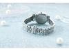 Gypsophila Steel Band Luxury Women's Quartz Watch with Diamond-Set Round Dial