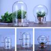 Clear Glass Dome with Airhole Glass Cloche Bell Jar with Base Home Tabletop Display Plant Flower Terrarium Container Home Decor