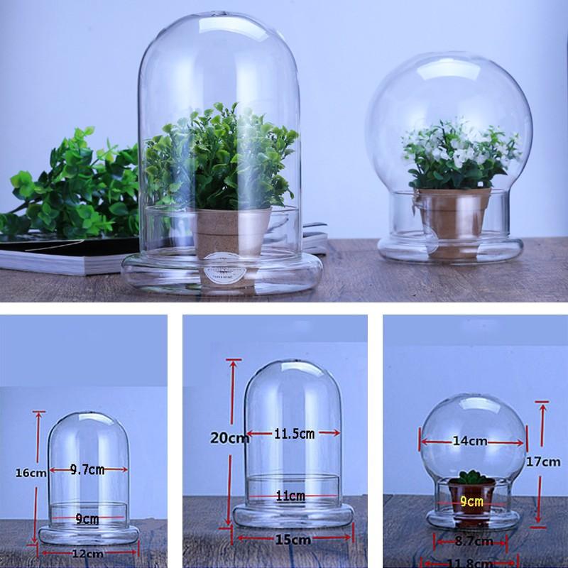 Clear Glass Dome with Airhole Glass Cloche Bell Jar with Base Home Tabletop Display Plant Flower Terrarium Container Home Decor