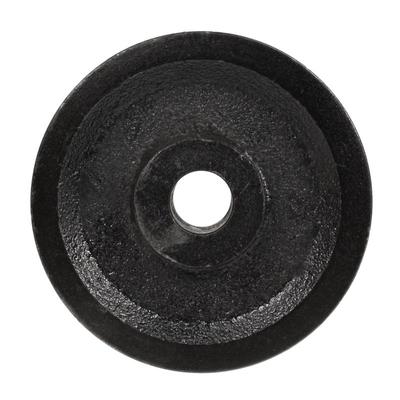 Cedrus Sweeper Pulley Zm03 030637