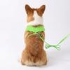 Cute Angel Wings Dog Cat Leashes 120CM Sturdy Puppy Leash Collar Lightweight Green Pet Harness For Pet Outdoor Walking