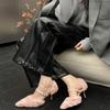 Temperament bag head shoes 2025 autumn and winter new high heels thin heel pointed wrist trip strap single shoes Mao Mao shoes