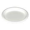 Disposable Disposable Plates, Eco-Friendly and Durable Bagasse Plates, Large, Perfect for BBQs and Parties, 50 Plates, Usually Discarded In the Trash
