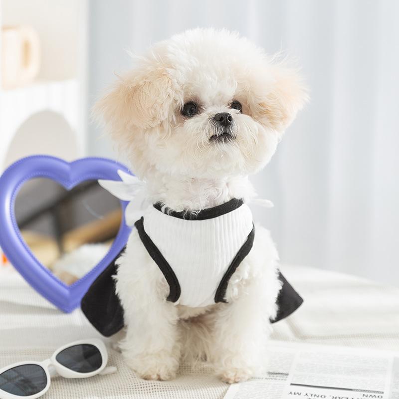 Câine de primăvară vară Hepburn Wind Big Butterfly Vestă de tracțiune Fusta Câine mic Fusta Teddy Cat Haina pentru câini