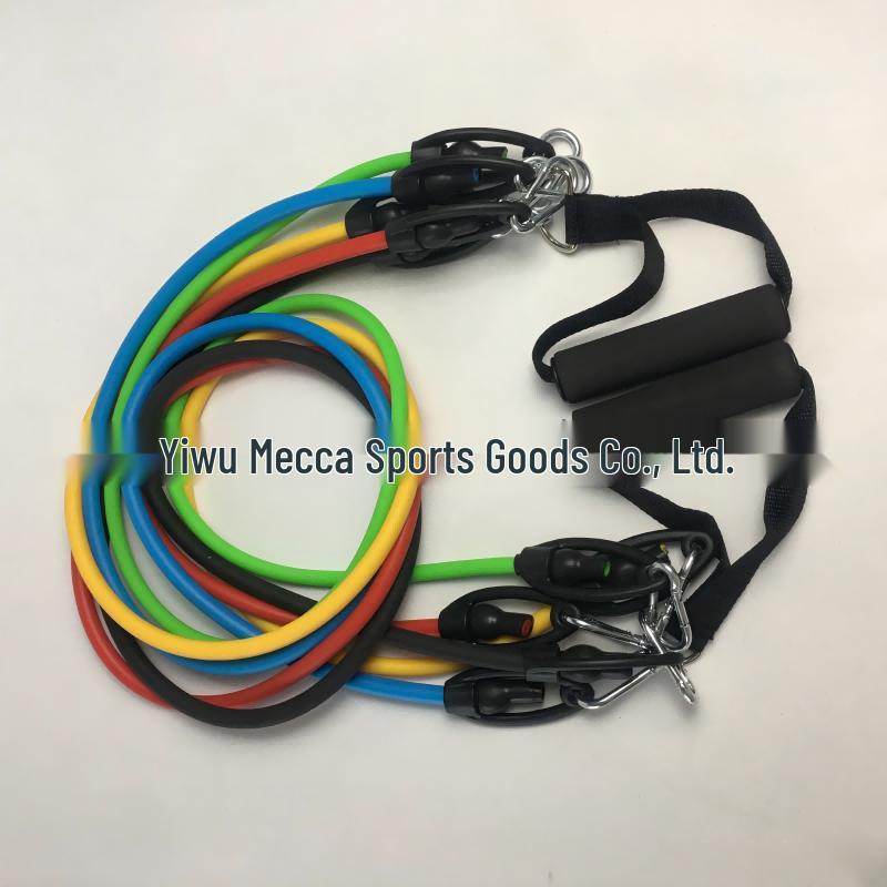 YTYIN 11-Piece Resistance Band Set CN Plug (adapter Included)