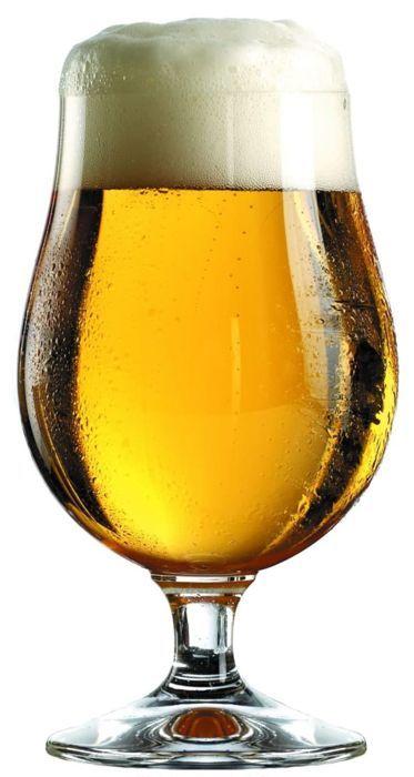 Tulip Beer Glasses - BERLIN - Set of 6 - 0.3 Liter - Glass - Dishwasher Safe