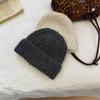 Autumn/Winter Warm Knit Wool Hat: Stylish Korean-Style Beanie for Women