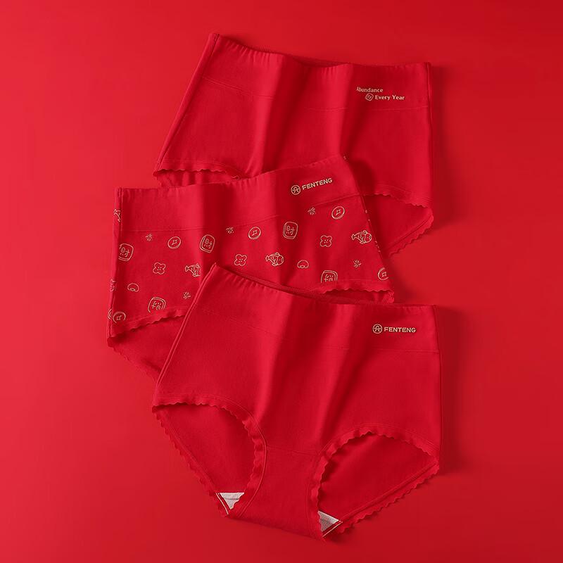 Fenteng Women's High-Waist Cloud Cotton Briefs 3-Pack