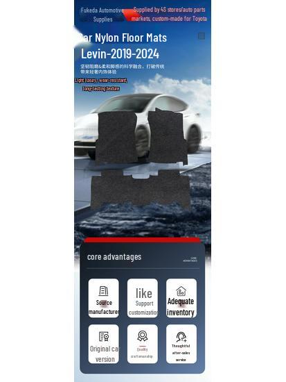 Nylon Car Mats for 2019-2024 GAC Toyota Levin - Durable and Wear-Resistant