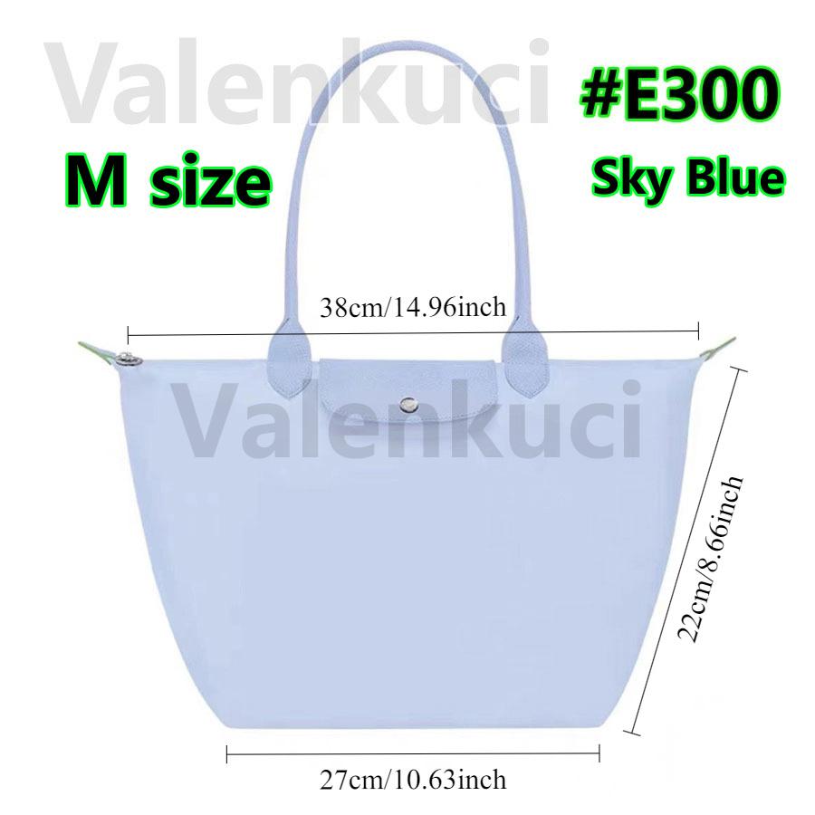 Shoulder Bags for Women Luxury Handbags Designer Famous Tote Women Messegner Crossbody Bag Female Casual Top-handle Bag E300-1