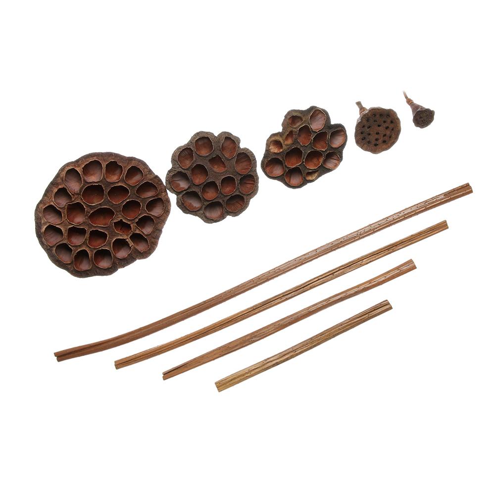 Basteln Heimdekorationen Partyzubehör Emulation Braune Lotusblume Gepresste Blumen Getrockneter Lotus