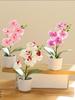 Creativ Opt Capete Film Phalaenopsis Bonsai Floare Simulare Floare Falsă Simulare Ghiveci Artificial Decor Acasă Birou