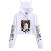 Attack on Titan Logo Hoodie Sweatshirt