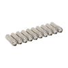 BAAJ-Möbel Schrank Gerade Regalstützen Stifte 6mm X 20mm 10 Stück