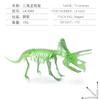 Archaeology Dinosaur Fossil Skeleton Assembly Kit, Glow in Dark T-Rex Fluorescent Model