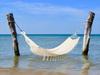 Beige Hammock 200X150 Wood (20)