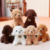 1pc Animaux Simulation Chien Teddy Lady Poupées Jouets en Peluche Doux Kawaii pour Enfants Cadeau d'Anniversaire pour Bébé pour Enfants Dropshipping