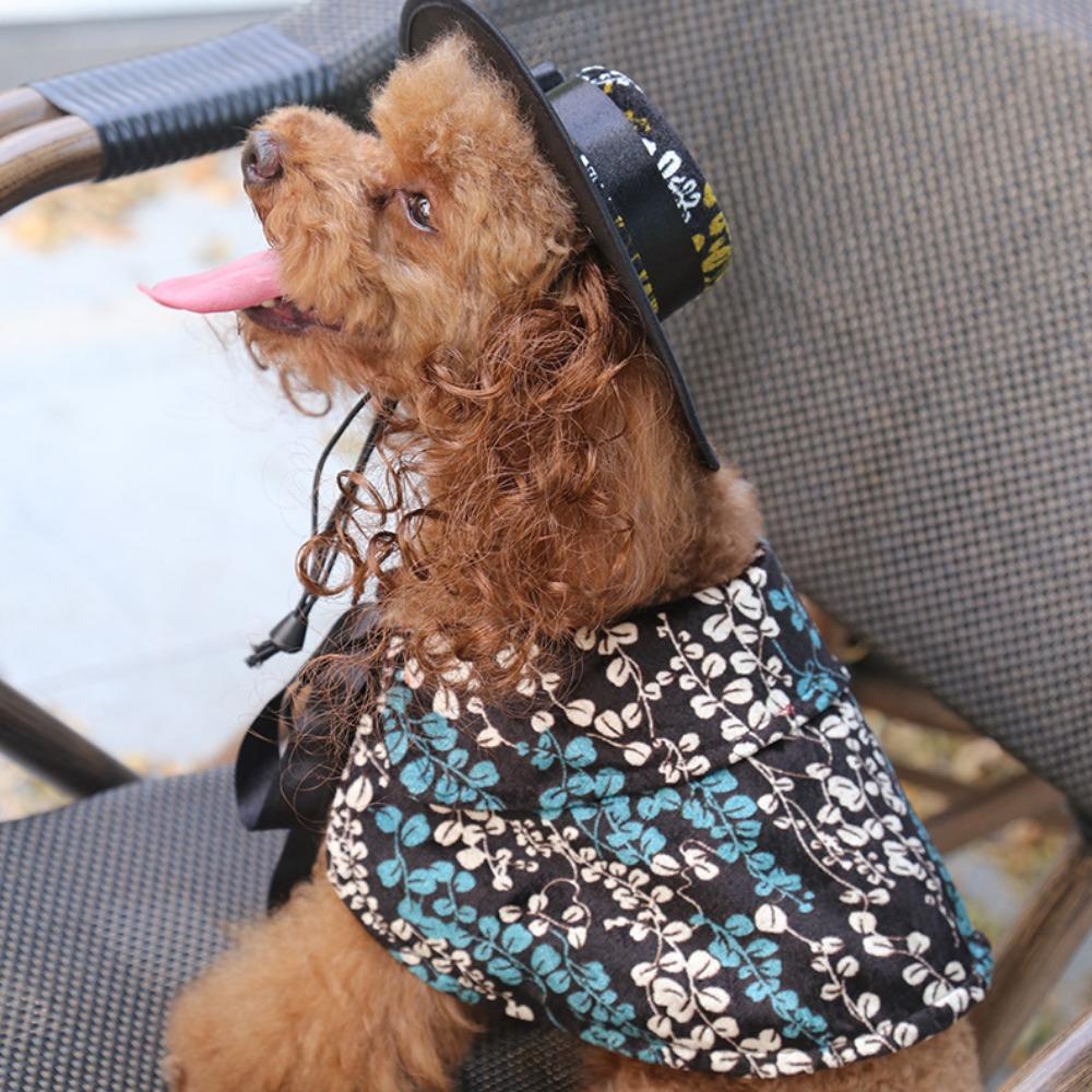 Dog clothes turned funny pet supplies cross-border hat cape set pet halloween costume