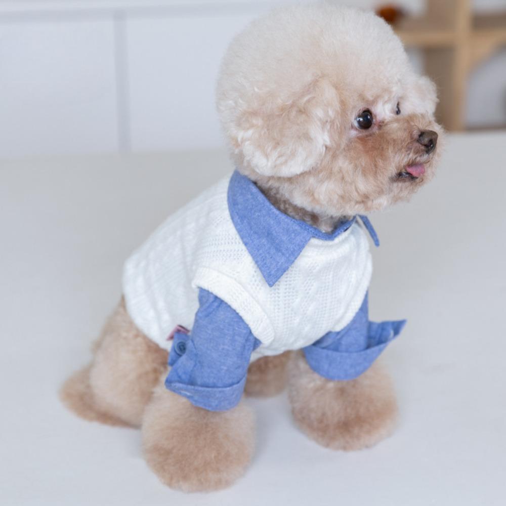 Autumn and Winter Woolen Vest Vest Pet Knitted Vest Cat Shirt Pet Clothing Teddy Bear Dog Clothes for Small Dogs Puppy Clothes