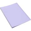Lilaly 1 Pack Document Organizer Folio, Binder with Plastic Sleeves Presentation Folders, Plastic Sheet Protectors 30 Pockets(Pink)