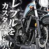 Daytona Motorcycle Handlebars for Rebel Handlebar Relief Inner Weight 145mm Matte Black 15421 250/500 (17-23) - - - -