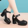 Fashion Round Toe Spring & Autumn Women High Heel Shoes for Office Lady Classic Comfort High Quality Stylish Platform Pumps