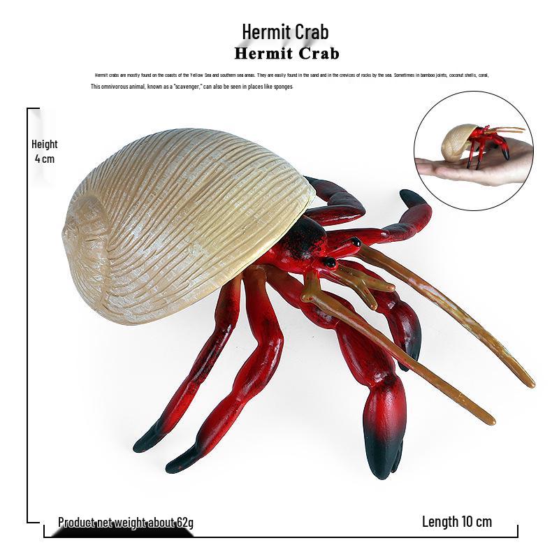 Underwater Creature Model: Hermit Crab Toy Ornament for Kids