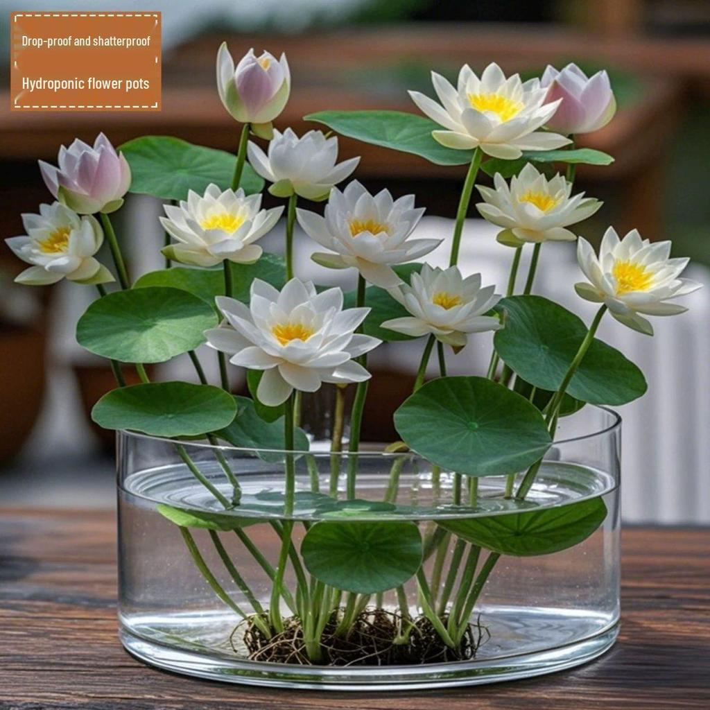 Acrylic Drop-Proof Transparent Cylinder Vase for Flower Arrangements