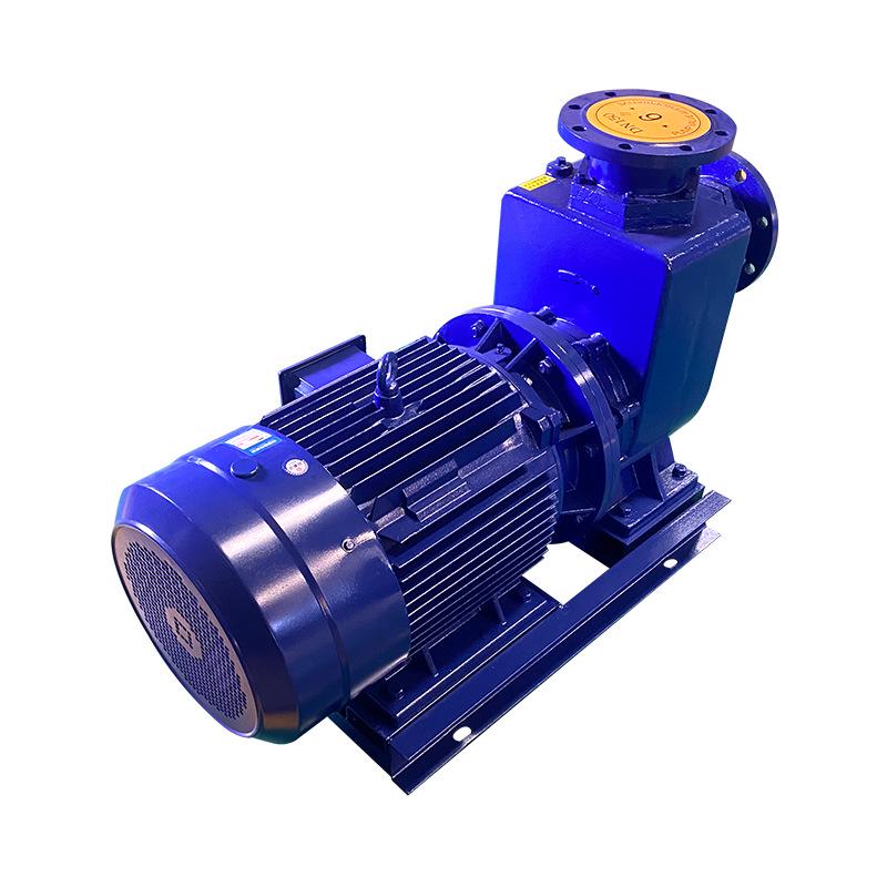 Explosion-Proof Horizontal Self-Priming Water Pump, Corrosion-Resistant Cast Iron & Stainless Steel