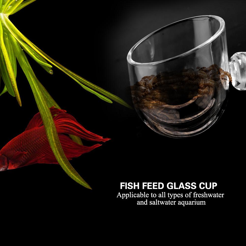 Transpatent Acrylic Feeding Cup Fish Red Worm Feeder Cups for Aquarium