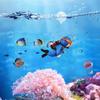 2Pcs New Aquarium Decoration Diver Fish Tank Decoration Flotation Device Landscape Aquarium Accessories